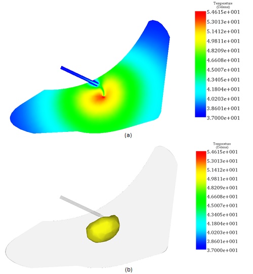 (a-Fringe plot and (b- Iso-clipping plot of temperature distribution at 2.45GHz.