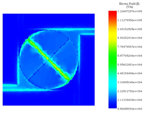 Distribution of the Electric Field at 2.4 GHz