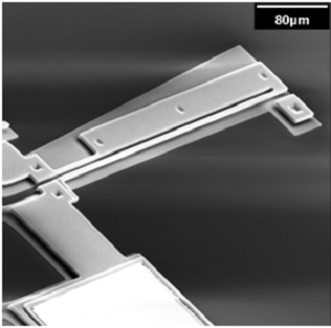 Electron-microscope-image-of-thermal-actuator-[1]