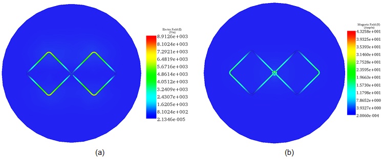 Fringe plot of (a- E-field and (b-Magnetic field distribution