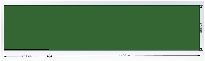 Model dimensions 