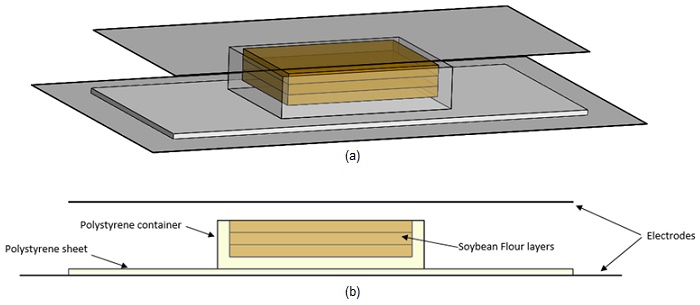 a)- 3D design and b)- Cross section front view of the used RF heating process 