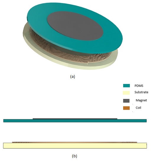 a): 3D isometric view of the micropump b): cross-sectional view of the micro- pump