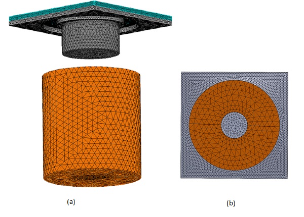 a-The-whole-meshed-model-b-Bottom-View