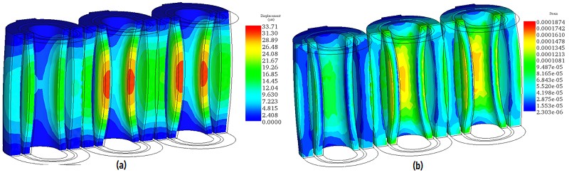 mechanical displacement in the coils - scale x800, b) strain in the coils- scale x800